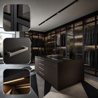 Dressing sur mesure en acier noir et verre avec étagères rétroéclairées intégrées, armoire de présentation, dressing complet pour toute la maison, OEM, MOQ 1 ensemble