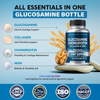 Complexe Confort Articulaire Glucosamine Chondroïtine Collagène MSM Capsules pour Adultes Âgés, Style de Vie Actif, Mobilité, 120 Gélules