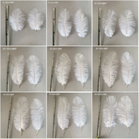 Décorations d'événement de mariage en gros Plumes roses Grande plume d'autruche