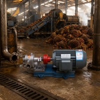KCB 135 Selbstansaugende Zahnradölpumpe 135 LPM 0,33 MPa 3 KW 304 Edelstahl Zahnrad Korrosionsbeständige Ölübertragungspumpe