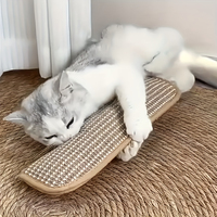 Coussin de jeu et griffoir pour chat pour le jeu individuel et l'interaction intime, pour garder votre ami félin heureux et apaisé