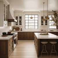 Ensembles de meubles de cuisine modernes modulaires en bois massif, design Shaker, suspendus au mur, avec rangement en verre, pratiques, vente en gros