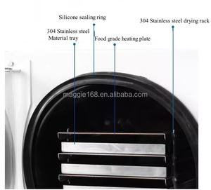 Machine de lyophilisation industrielle pour fruits, légumes, viande, lyophilisateur sous vide à économie d'énergie pour les petites entreprises - Product Image 2