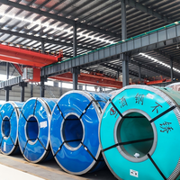 Bobines en acier inoxydable 316L et 304L ; Bobines/tôles en acier inoxydable 430 laminées à chaud ; Matériaux de qualité industrielle disponibles pour le refendage