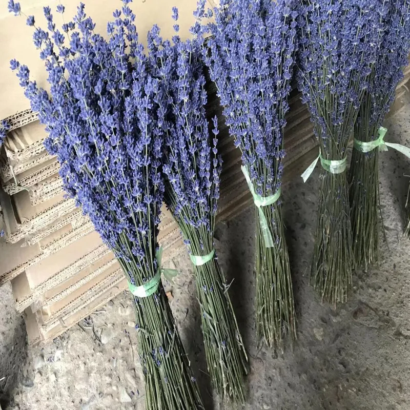 Wholesale Hot Selling Real Customized Dried Flower Bouquet Lavender Real Purple Dried Lavender For Decoration Bundles
