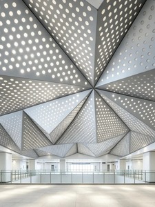 Panneau mural perforé en aluminium moderne, anodisé, anti-corrosion, revêtement extérieur pour bâtiments, design industriel pour hôtels - Product Image 3