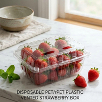Boîte en plastique PET transparent ventilée et écologique de 500 g pour l'emballage de fruits frais