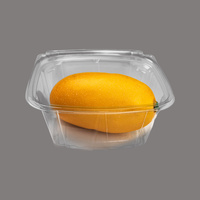 Direct van de fabriek: multi-specifieke wegwerp transparante voedselboxen voor salade, fruit, maaltijdvoorbereiding, commerciële logistiek en circulatiescenario's.