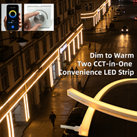 PWM Control Gradation 24V IP68 Lumière Ambiante Top Bending Dim to Warm Ra95 Silicone Neon LED Étanche Façade Plafonnier Intérieur