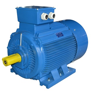มอเตอร์ IE1 110 กิโลวัตต์ 8 โพล แบบอะซิงโครนัส AC - Product Image 2