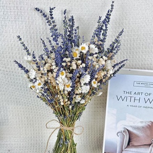 Bouquet éternel <span class=keywords><strong>de</strong></span> <span class=keywords><strong>fleurs</strong></span> séchées pour décorations <span class=keywords><strong>de</strong></span> mariage composé <span class=keywords><strong>de</strong></span> lavande et <span class=keywords><strong>de</strong></span> marguerites Cosmos pour la fête des mères Noël - Product Image 5