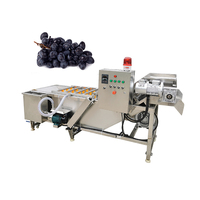 Commerciële groentewasmachine, aardappelbladwasmachine