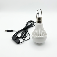 Ampoule LED LINPSECT LP-DY003 DC12V pour usage extérieur, câble de 2,8 m, prise DC5521, interrupteur marche/arrêt, crochet métallique pour un accrochage facile, CRI 80, 6500K, garantie 2 ans