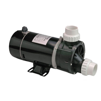 WPB-100 WPB100 TDB-100 TDB100 0.75kw PPO ABS Plastik SPA Pijat WHIRLPOOL BATHTUB POMPA Produsen OEM
