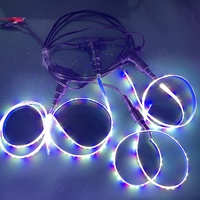 Bande lumineuse LED de culture à double couleur rouge et bleu, SMD 2835, 12 V CC, 12 volts, pour serres