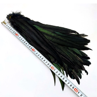 Expédition rapide, plusieurs tailles, plumes de queue de coq noires teintes artificiellement, sélectionnées, décoration de coiffe de carnaval, en vrac