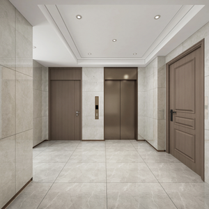 Ascensor Vertical Hidráulico Moderno para Discapacitados, Elevador Residencial para Interiores, Uso en Hoteles, Personalizable para Dos Pisos, Capacidad de Elevación 300/450 kg - Product Image 5