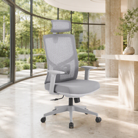 Chaise de bureau contemporaine confortable pour une utilisation prolongée, dossier en maille, hauteur réglable, chaise ergonomique