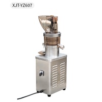 Presse-Agrumes Industriel Automatique en Acier Inoxydable de Haute Qualité, Machine à Jus Source Multifonctionnelle pour Magasin de Boissons