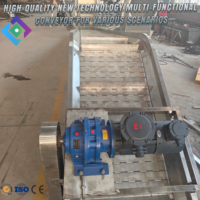 Convoyeur à bande motorisé vibrant en acier inoxydable pour le nettoyage des extrémités de palettes, de pizzas, de murs et de gravier