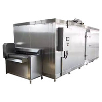 Libon Snelbevroren Fruit Apparatuur/Iqf Fruit En Groente Tunnel Vriezer