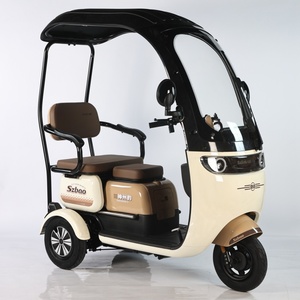 Triciclo Eléctrico de Pasajeros para Adultos, de 3 Ruedas, Tipo Taxi, con Cubierta Completa, E-Trike para Pasajeros - Product Image 4