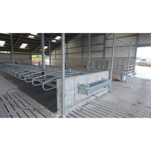 Hangar préfabriqué en acier isolé et ventilé pour ferme pour l'élevage des vaches - Product Image 4