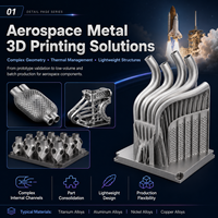 Leichtgewichtige, topologisch optimierte Luft- und Raumfahrt-Halterung aus Metall – 3D-Druckservice mit hoher Präzision und kundenspezifischen Materialien
