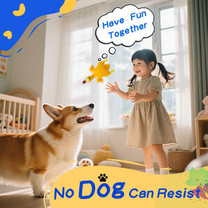 Yeni sıcak satış fabrika düşük fiyat nokta toptan diş taşlama can sıkıcı kauçuk ses oyuncak çığlık tavuk - Product Image 6