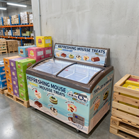 Congélateur coffre commercial grande capacité à porte vitrée ouvrant par le haut, avec refroidissement par air et éclairage LED, idéal pour le stockage des aliments surgelés - Vente chaude directe usine