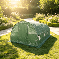 Serre tunnel 10x30 pieds : structure en acier galvanisé et couverture en PE, abri de jardin robuste pour plantes