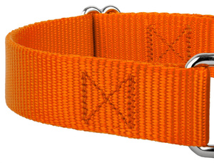 Rantai kerah anjing Martingale latihan luar ruangan nilon poliester Logo pola kustom dapat disesuaikan kerah anjing Martingale - Product Image 5
