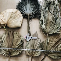 YAYUN - Customized Shape Natural Dried Palm Leaves