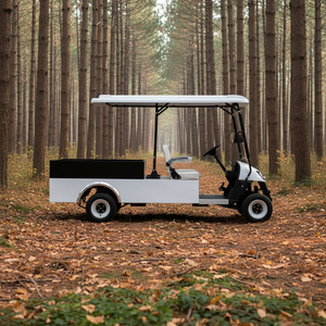 Carro Eléctrico Club Car 72V con Caja de Carga, Certificado DOT y EEC, 3-4 Asientos, Asientos Traseros Orientados hacia Adelante, Nuevo Diseño - Product Image 5