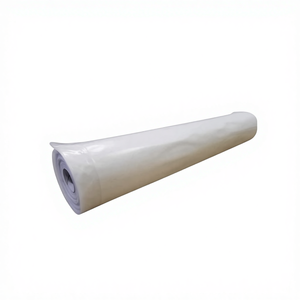 Film plastique transparent en <span class=keywords><strong>PE</strong></span> pour serre, 4 ans, 6 mil, transparent, anti-UV, feuille de film plastique (16' X 10') - Product Image 1