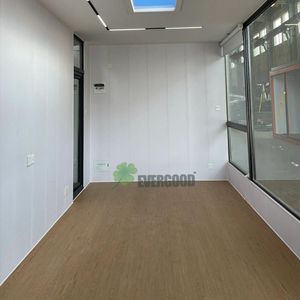 <span class=keywords><strong>Cabane</strong></span> modulaire de loisirs de jardin personnalisable, confortable et petite, avec salle de bain, préfabriquée, mobile, conteneur en acier de 20 pieds, maison de campagne - Product Image 5