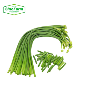 Pousses d'<span class=keywords><strong>ail</strong></span> frais directement de l'usine 35-45cm 5kg/10kg/12kg Carton <span class=keywords><strong>Ail</strong></span> frais en gros Prix de gros Prêt à l'exportation - Product Image 1