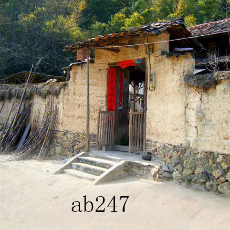 ab247--Dongxu
