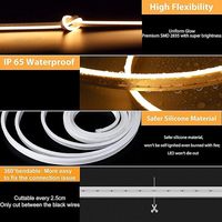 Bande LED flexible en silicone néon 5m blanc chaud 2700K 24V Dimmable, étanche IP65 avec alimentation télécommandée