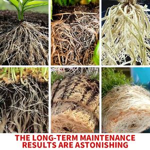 צנוטה חזק אבקת שורש מהירה פיצוץ שורש אורגני דשן - Product Image 3