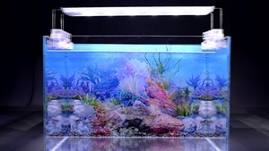 Groothandel Dubbele Enkelzijdige <span class=keywords><strong>Aquarium</strong></span> Decoratieve Natuur Imiteert <span class=keywords><strong>Aquarium</strong></span> Achtergrond - Product Image 4