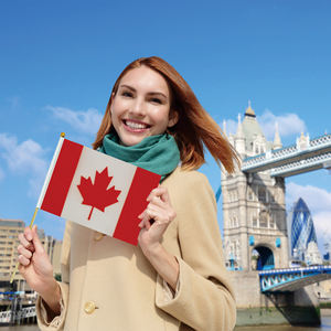 Оптовая продажа, лидер продаж, страны мира, 14*21 см, Канада, размахивающий вручную флаг с деревянным стержнем - Product Image 3