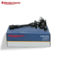 Bobina de Encendido de Alto Rendimiento para Automóviles, Piezas de Motor, SMW251309, para Great Wall HAVEL H6 2.0T HAVAL LANDWIND 2