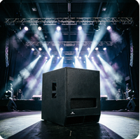 Subwoofer actif 15 pouces DSP Classe D 1100W RMS avec caisson en bois, haut-parleur de basses amplifié pour mariage, bar, scène, spectacle en direct, événement