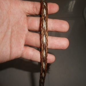 Tresses en crin de <span class=keywords><strong>cheval</strong></span> de 25CM de Long pour la fabrication de Bracelets en crin de <span class=keywords><strong>cheval</strong></span> et autres bijoux avec de vrais crins de <span class=keywords><strong>cheval</strong></span> fabriqués à la main - Product Image 3