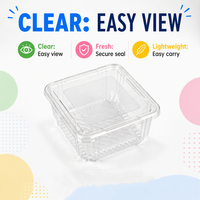 Boîtes thermoformées transparentes en PET de qualité alimentaire pour gâteaux, tiramisu et pâtisseries, boîtes à dessert jetables pour emporter