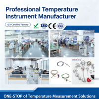IEC K-Typ Metallgeflecht-Thermoelement-Messkabel Doppelschichtiges Glasfaser-Isoliertes Temperaturmesskabel F7/0.2KXH-H-GAB