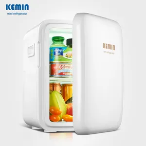 2021 popular auto mini fridge 10L car mini thermoelectric cooler and warmer box