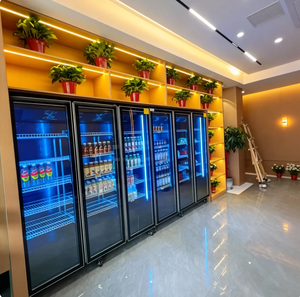 Équipement <span class=keywords><strong>de</strong></span> réfrigération commerciale <span class=keywords><strong>de</strong></span> haute qualité, vitrine réfrigérée à température unique avec écran LED, <span class=keywords><strong>congélateur</strong></span> à bière pour supermarché et restaurant - Product Image 6