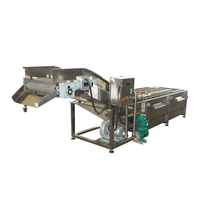 Volledig automatische groente- en fruitwasmachine met PLC-besturing, food grade, capaciteit 500 kg/uur, voor groenteverwerking.